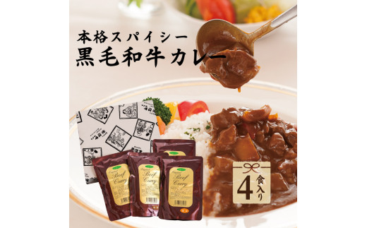 【ふるさと納税】 敬老の日 レトルトカレー ビーフカレー 4個セット ギフト お返し 内祝い 出産内祝い 一人暮らし プレゼント 食べ物 冷凍 イイジマ黒毛和牛レトルトカレー 4個入り 化粧箱 ギフト対応 【肉のイイジマ】茨城県 水戸市（DU-83）