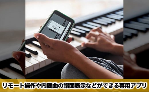 【Roland】本格電子ピアノ/FP-10-BK【配送不可：離島】 [№5786-4376]