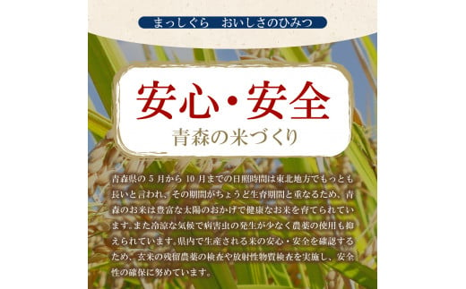 米 10㎏ まっしぐら 青森県産 （精米・5kg×2）