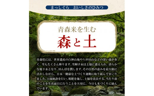 米 10㎏ まっしぐら 青森県産 （精米・5kg×2）