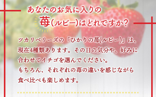 E010 ひかりの苺（ルビー）4品種セット 1200gひかりの苺（ルビー）４品種セット 1,200g やよいひめ おおきみ おいCベリー もういっこ イチゴ