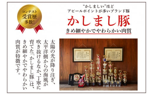 令和５年度 東京食肉市場豚枝肉共励会 最優秀賞受賞肉 【定期便】6ヵ月定期便 かしまし豚 4種の詰め合わせ×6回 【ブランド豚 部位 セット 大容量 茨城県 鹿嶋市】(KM-15)