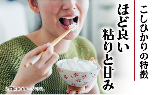 令和6年幸手産 こしひかり【精米】5㎏×2袋 - コシヒカリ 精米 10kg 令和６年産 埼玉県 幸手市 幸手市産【価格改定ZA】