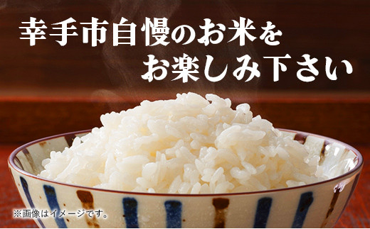 令和6年幸手産 こしひかり【精米】5㎏×2袋 - コシヒカリ 精米 10kg 令和６年産 埼玉県 幸手市 幸手市産【価格改定ZA】