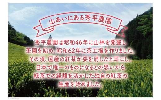 四万十紅茶＜ティーバッグ＞2.5g×12個入り×10袋 [秀平農園 高知県 津野町 26am0003] 紅茶 お茶 ティーバッグ ティータイム 常温