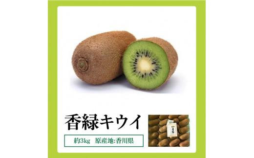 香緑キウイ　約3kg【2024-11月下旬～2025-3月下旬配送】