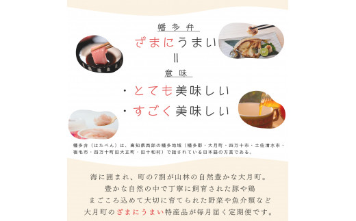 【定期便 ４回】ざまにうまい！大月町の特産品 