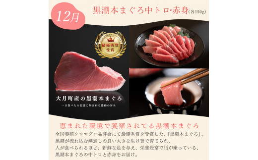 【定期便 ４回】ざまにうまい！大月町の特産品 