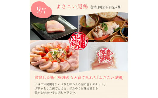 【定期便 ４回】ざまにうまい！大月町の特産品 