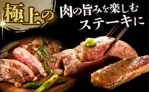 【全12回定期便】【A4～A5】長崎和牛サーロインステーキ　250g（250g×1枚）【株式会社 MEAT PLUS】 [DBS084]