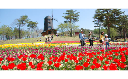 岩手県軽米町産　木製消毒液スタンド　クラフトマンスタンド　一般用【1485388】