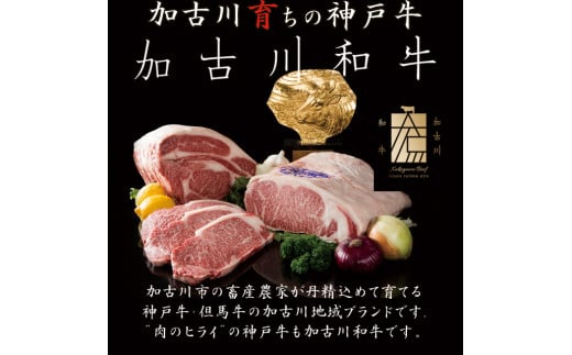 ★選べる配送月★[4月発送]神戸牛肩ロースすき焼き肉・しゃぶしゃぶ肉(500g)《 神戸牛 自社牧場直送 国産 肉のヒライ 肩ロース すき焼き しゃぶしゃぶ プレゼント ギフト 送料無料 おすすめ 》【2403A00114-04】