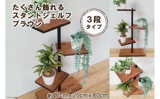 たくさん飾れるスタンドシェルフ 3段タイプ ブラウン(天然木／完成品)｜新星金属製作所 大阪府 守口市 [0401]