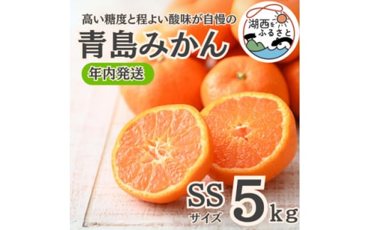 ＜年内発送＞＜12月より順次出荷予定＞青島みかん約5kg SSサイズ〔鈴木農園〕【1510102】