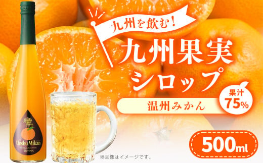 九州を飲む！九州果実シロップ 温州みかん