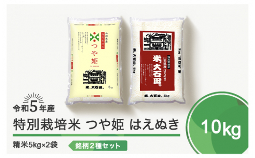 令和6年5月下旬発送 つや姫 はえぬき 各5kg 計10kg 精米  令和5年産