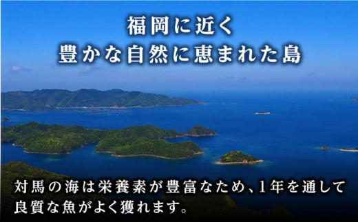 ヒオウギ貝 むき身 6個×3パック《対馬市》【対馬新鮮組】 肉厚 ひおうぎ貝 下処理済 貝 新鮮 特産品 冷凍配送 [WCS001]