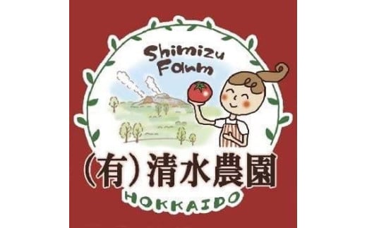 ＜2025年7月中旬よりお届け＞【農園直送】「清水農園」旬の野菜の定期便（3回お届け）【 ふるさと納税 人気 おすすめ ランキング トマト とまと じゃがいも ジャガイモ 玉ねぎ たまねぎ かぼちゃ 南瓜 野菜 北海道 壮瞥町 送料無料 】 SBTO007