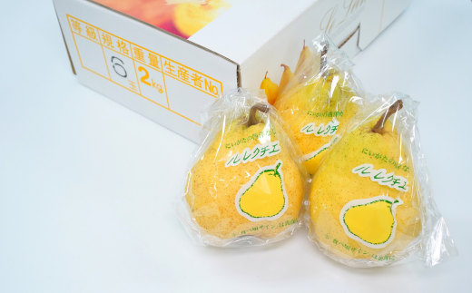 ル レクチエ 2kg（5～7個） 令和6年度 洋梨 令和6年度 新潟県産 ル・レクチェ 洋梨の貴婦人 [JAえちご中越]【010S139】