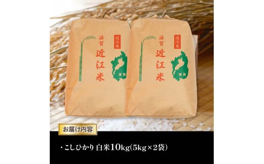 令和6年産 新米 白米 10㎏ こしひかり 5kg × 2袋 精米 近江米 コシヒカリ 国産 お米 米 おこめ ごはん ご飯 白飯 しろめし こめ ゴハン 御飯 滋賀県産 竜王 ふるさと ランキング 人気 おすすめ