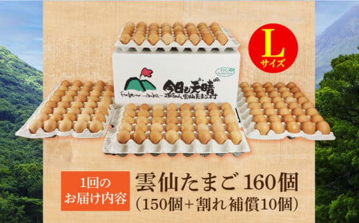 【全6回定期便】Lサイズ160個(150個＋割れ補償10個入り) 長崎県/塚ちゃん雲仙たまご村 [42ACAE027] 卵 玉子 タマゴ 鶏卵 長崎 島原 九州