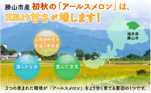 【先行予約】若猪野アールスメロン 1.7kg 以上 2玉 箱入り ※2025年8月下旬より順次発送 [A-011010]