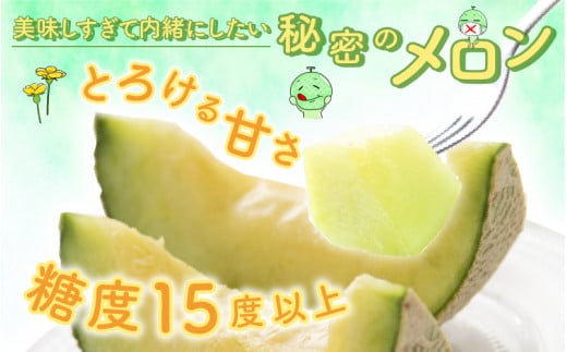 【先行予約】若猪野アールスメロン 1.7kg 以上 2玉 箱入り ※2025年8月下旬より順次発送 [A-011010]