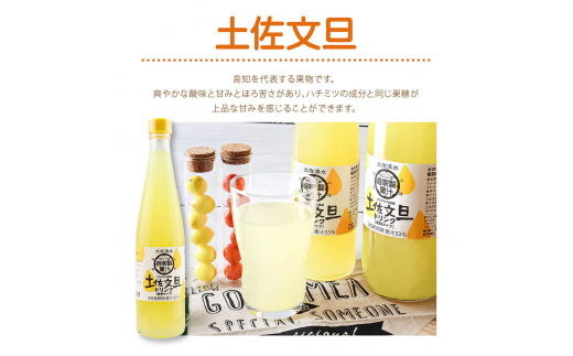 オレンジ園の濃縮ジュース 土佐文旦 500ml 3本 6回定期便 希釈用 みかんジュース チューハイ用 ドリンク ジュース 柑橘類 蜜柑 みかん【J00114】