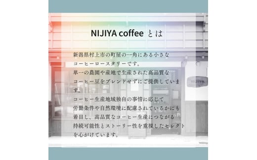 【定期便：6ヶ月連続でお届け】シングルオリジンコーヒー 100g × 3品種（中挽き）計300g×6ヶ月　1075016