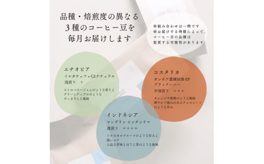 【定期便：6ヶ月連続でお届け】シングルオリジンコーヒー 100g × 3品種（中挽き）計300g×6ヶ月　1075016