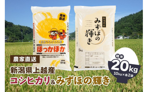 米 令和5年産 「新潟県産」 コシヒカリ 10kg（5kg×2）& みずほの輝き 10kg（5kg×2） お米 こめ 20kg 新潟