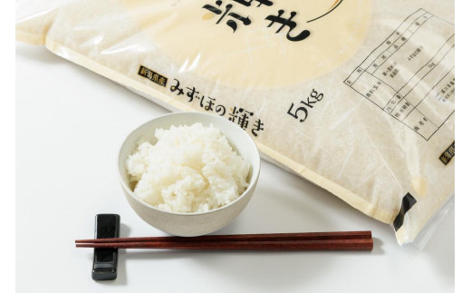 米 令和5年産 「新潟県産」 コシヒカリ 10kg（5kg×2）& みずほの輝き 10kg（5kg×2） お米 こめ 20kg 新潟