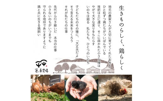 平飼いたまご 24個×月2回×3ヶ月 【 卵定期便 たまご定期便 平飼い卵 非遺伝子組み換え 自家配合 たまご タマゴ 平飼い 卵 国産 純国産鶏 もみじの平飼い卵 京都奥丹波 綾部 京都 蓮ヶ峯農場 】