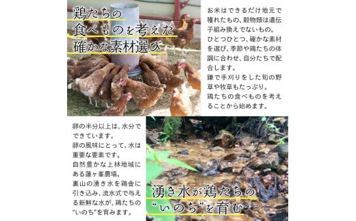 平飼いたまご 24個×月2回×3ヶ月 【 卵定期便 たまご定期便 平飼い卵 非遺伝子組み換え 自家配合 たまご タマゴ 平飼い 卵 国産 純国産鶏 もみじの平飼い卵 京都奥丹波 綾部 京都 蓮ヶ峯農場 】