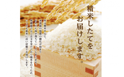 [№5313-0081]米 精米 コシヒカリ 5kg コメ ご飯 ごはん 白米/林農産/富山県 黒部市