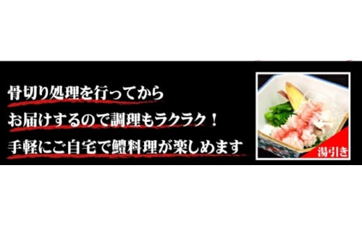 天然ハモ(骨切りパック 500g)＜宇部魚市場＞【天然ハモ ハモ はも 鱧 骨切り 骨切りハモ 天然 宇部魚市場 活き締め 湯引き しゃぶしゃぶ フライ 魚 新鮮 鮮魚 つまみ 刺身 市場直送 山口県 宇部市 返礼品】