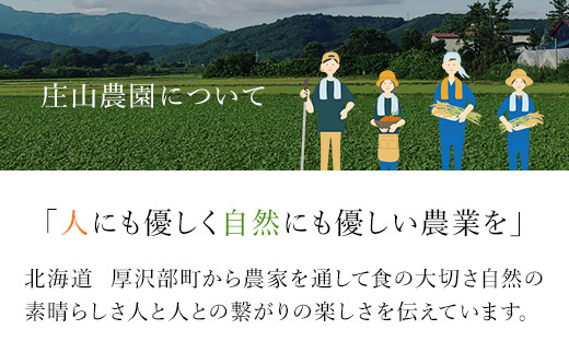 【令和6年産 新米】北海道厚沢部産ゆめぴりか90kg（10kg×9ヶ月連続お届け） 【 ふるさと納税 人気 おすすめ ランキング 米 ゆめぴりか ご飯 ごはん 白米 つや 粘り 北海道 厚沢部 送料無料 】 ASG012