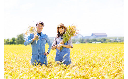 【10kgお届け！】田園交響楽 ゆめぴりか 北海道 北広島市 米 精米