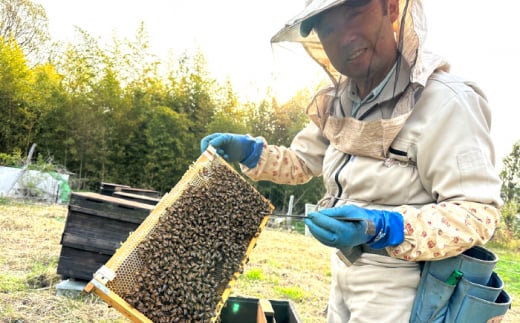 【お歳暮対象】升田養蜂場のはちみつ 森の蜂蜜セット 国産 はちみつ 蜂蜜  純粋 ハチミツ お取り寄せ グルメ 三次市/升田養蜂場[APAE004-999]