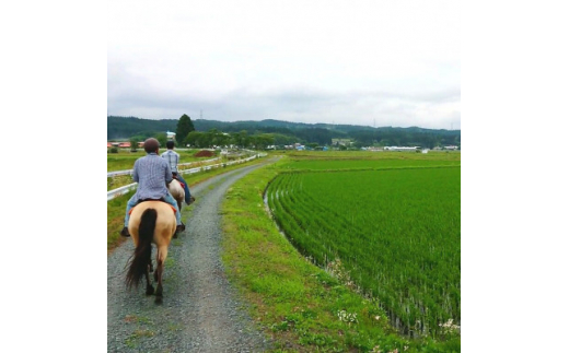 「駒の里」十和田で乗馬トレッキング45分(1名様分)【1509131】