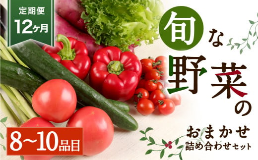 【定期便12か月】旬な野菜おまかせ詰め合わせセット 定期便12か月コース