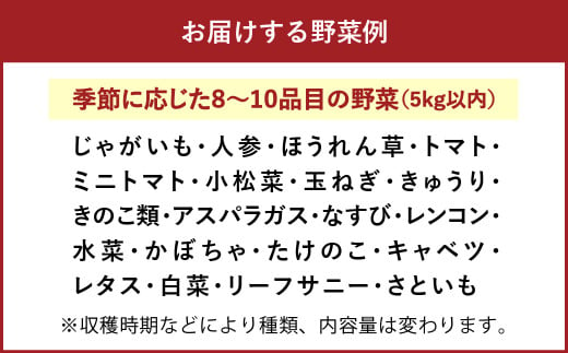 【定期便12か月】旬な野菜おまかせ詰め合わせセット 定期便12か月コース