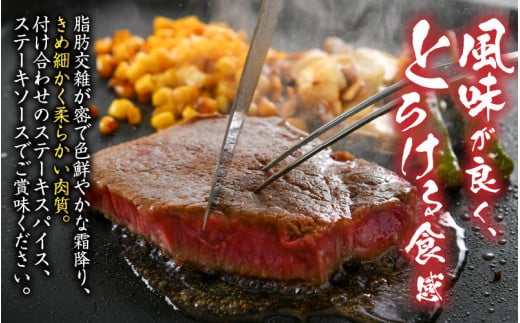 福井県産若狭牛ステーキ(ヒレ肉)約150g×3枚セット [C-012005]