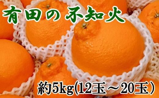  【濃厚】有田の不知火約5kg（12～20玉）★2025年2月中旬頃より順次発送【TM34】