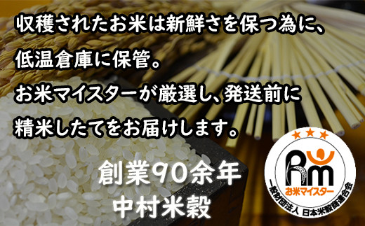 【定期便 6ヶ月】 佐賀県産 さがびより 白米 10kg《6ヶ月連続 毎月お届け》 6回 J-3