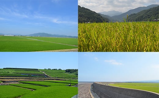 【定期便 6ヶ月】 佐賀県産 さがびより 白米 10kg《6ヶ月連続 毎月お届け》 6回 J-3