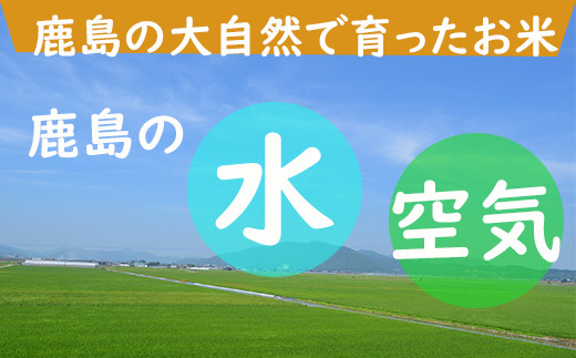 【定期便 6ヶ月】 佐賀県産 さがびより 白米 10kg《6ヶ月連続 毎月お届け》 6回 J-3