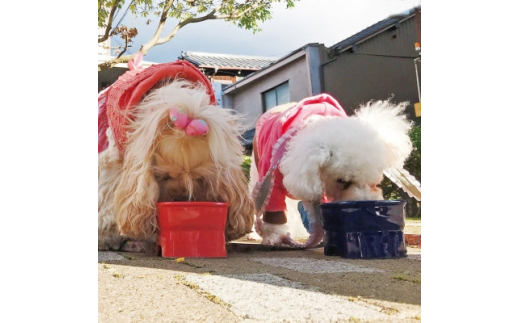 美濃焼　陶器製ペット用フードボウル＜早食い防止 高台フードボウル(中/ブラック)pet110＞【1427420】