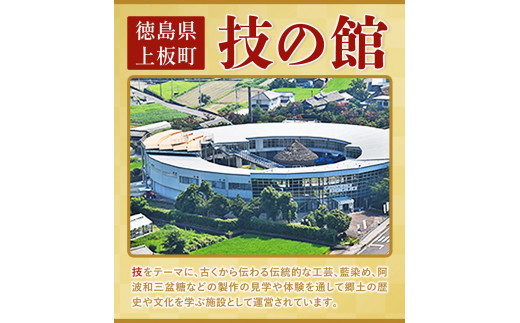 藍染体験チケット 一般社団法人ジャパンブルー上板《30日以内出荷予定(土日祝除く)》徳島県 上板町 藍染 藍染め 体験 技の館 予約