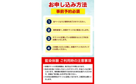 藍染体験チケット 一般社団法人ジャパンブルー上板《30日以内出荷予定(土日祝除く)》徳島県 上板町 藍染 藍染め 体験 技の館 予約